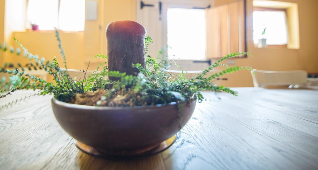 Pensjonat Casa Insol Denuy Zewnętrze zdjęcie