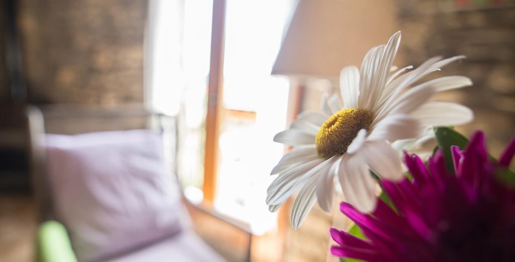 Pensjonat Casa Insol Denuy Zewnętrze zdjęcie